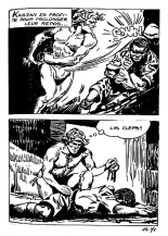 Elvifrance - Karzan - 14 : page 73