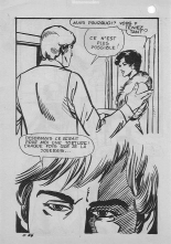 Elvifrance - Les cornards - 009 - En dodo…majeur : page 68