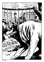 Elvifrance - Les Cornards - 031 - La Peau de l'Ours : page 46