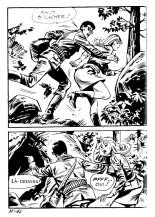 Elvifrance - Les Cornards - 031 - La Peau de l'Ours : page 66