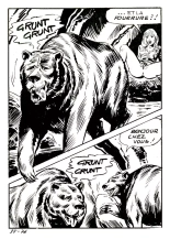 Elvifrance - Les Cornards - 031 - La Peau de l'Ours : page 80