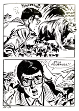 Elvifrance - Les Cornards - 031 - La Peau de l'Ours : page 81