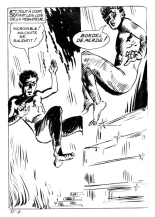 Elvifrance - Les Cornards - 031 - La Peau de l'Ours : page 106