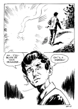 Elvifrance - Les Cornards - 041b - Le Peril Jaune : page 24