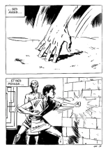 Elvifrance - Les Cornards - 041b - Le Peril Jaune : page 37