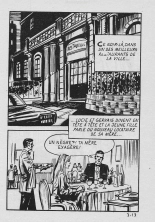 Elvifrance - Proxos - 003 - Deux lièvres à la fois : page 17