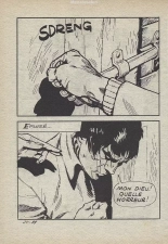 Elvifrance - Série bleu - 024 - Le trésor de Mallory : page 80