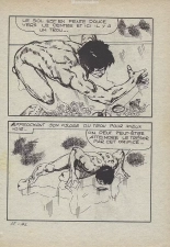 Elvifrance - Série bleu - 024 - Le trésor de Mallory : page 91