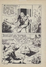 Elvifrance - Série bleu - 024 - Le trésor de Mallory : page 167