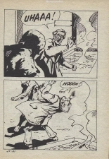 Elvifrance - Série bleu - 024 - Le trésor de Mallory : page 169