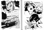 Elvifrance Série Grise 26 La femme du routier - b Un banal accident : page 75