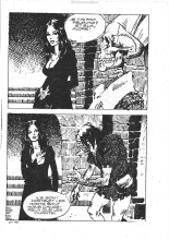 Elvifrance - Série jaune - 022 - Terreur dans la cathédrale : page 135