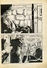 Elvifrance - Série jaune - 043 - Manie de persécution : page 29