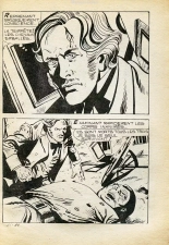 Elvifrance - Série jaune - 043 - Manie de persécution : page 39