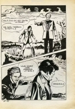 Elvifrance - Série jaune - 043 - Manie de persécution : page 81