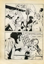 Elvifrance - Série jaune - 043 - Manie de persécution : page 184