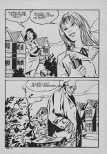 Elvifrance - Série jaune - 074 - Au nom du mal : page 11