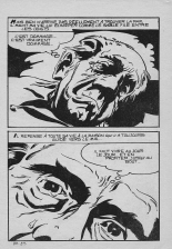 Elvifrance - Série jaune - 074 - Au nom du mal : page 29