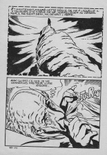 Elvifrance - Série jaune - 074 - Au nom du mal : page 30