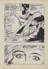 Elvifrance - Série rouge - 112 - La part du lion : page 43