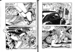 Elvifrance - satires 64 Cicatrix 2001 : page 41