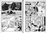 Elvifrance - Satires 65 Le masque de sang : page 21