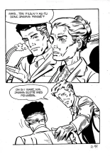 Elvifrance - Série blanche - 012 - Drôle de guerre : page 103