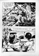 Elvifrance - Série blanche - 016 - Magie africaine : page 11