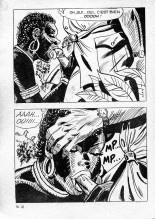 Elvifrance - Série blanche - 016 - Magie africaine : page 20