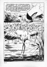 Elvifrance - Série blanche - 016 - Magie africaine : page 44