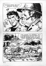 Elvifrance - Série blanche - 016 - Magie africaine : page 45