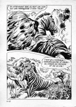 Elvifrance - Série blanche - 016 - Magie africaine : page 46