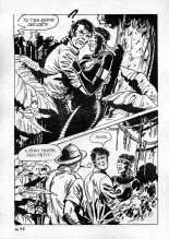 Elvifrance - Série blanche - 016 - Magie africaine : page 102