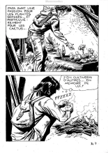 Elvifrance - Série blanche - 034 - Cactus : page 11