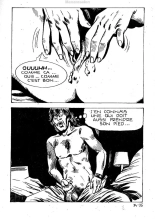 Elvifrance - Série blanche - 034 - Cactus : page 39