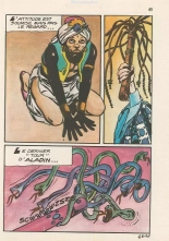 Elvifrance - Terrificolor - 046 - Enchantement : page 45