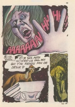 Elvifrance - Terrificolor - 046 - Enchantement : page 99