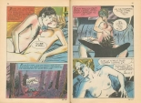 Elvifrance - Terrificolor - T36 - Sensualité : page 29