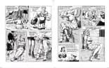 En course pour la gold cup et autres raretés : page 19