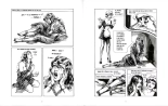 En course pour la gold cup et autres raretés : page 39