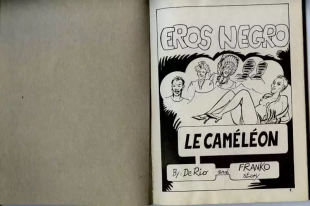 hentai Eros Negro N.14 - Le caméléon