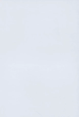 Fenzo Belzeba : page 2