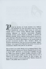 Fenzo Belzeba : page 5