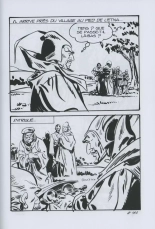 Fenzo Belzeba : page 311