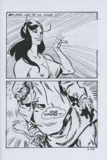 Fenzo Belzeba : page 333