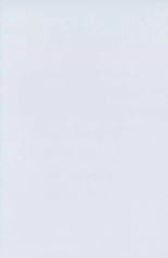 Fenzo Belzeba : page 371