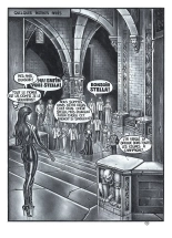 Foxer - Stella #2 : Les nuits sadiques de Stella : page 11