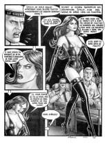 Foxer - Stella #3 : Les folles nuits de Stella : page 17