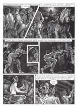 Georges Pichard & Émile Zola - Germinal #1 : page 23