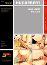 Hugdebert - Les fleurs du mâle : page 1